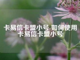 易福卡盟-探寻数字时代的新欢，易福卡盟——金融科技技术创新先锋