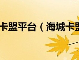 卡盟海诚-深度解读，卡盟海诚——网上虚拟服务的颠覆性创新与行业管理者