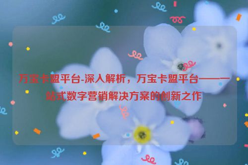 万宝卡盟平台-深层次分析，万宝卡盟平台——一站式数字营销解决方案创新之作,万宝卡盟平台-深入解析，万宝卡盟平台——一站式数字营销解决方案的创新之作,第1张