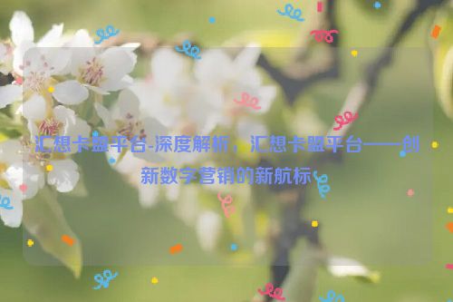 汇想卡盟平台-深度解析，汇想卡盟平台——自主创新数字营销的新航标,汇想卡盟平台-深度解析，汇想卡盟平台——创新数字营销的新航标,第1张