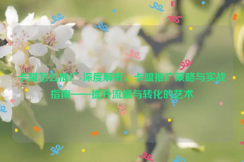 卡盟如何推广-深度解读，卡盟推广策略与实战演练手册——提升流量与转化的美学,卡盟怎么推广-深度解析，卡盟推广策略与实战指南——提升流量与转化的艺术,第1张