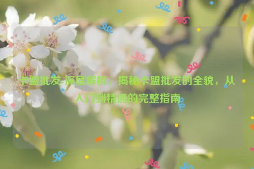 卡盟批发-深度解读，揭密卡盟批发的全景，实用教程的一体化手册,卡盟批发-深度解析，揭秘卡盟批发的全貌，从入门到精通的完整指南,第1张