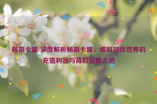 畅游卡盟-深度解读畅游卡盟，虚似游戏这个世界的充值神器与身后经营之法,畅游卡盟-深度解析畅游卡盟，虚拟游戏世界的充值利器与背后运营之道,第1张