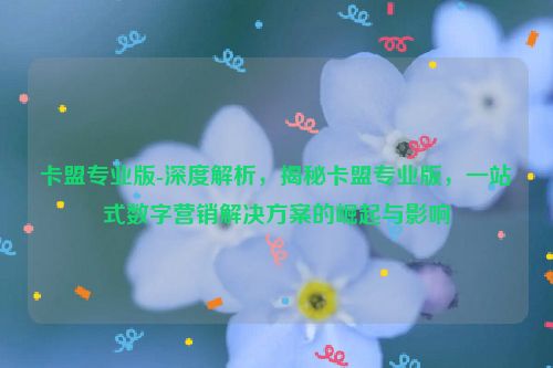 卡盟专业版-深度解读，揭密卡盟专业版，一站式数字营销解决方案的崛起与影响,卡盟专业版-深度解析，揭秘卡盟专业版，一站式数字营销解决方案的崛起与影响,第1张