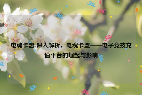 电魂卡盟-深层次分析，电魂卡盟——电子竞技充值服务平台的兴起与影响,电魂卡盟-深入解析，电魂卡盟——电子竞技充值平台的崛起与影响,第1张