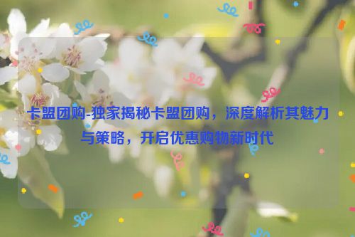 卡盟团购-独家代理揭密卡盟团购，深度解读其魅力与对策，打开优惠购物新时期,卡盟团购-独家揭秘卡盟团购，深度解析其魅力与策略，开启优惠购物新时代,第1张