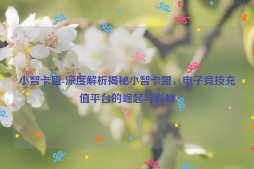 小智卡盟-深度解读揭密小智卡盟，电竞充值服务平台的兴起与影响,小智卡盟-深度解析揭秘小智卡盟，电子竞技充值平台的崛起与影响,第1张